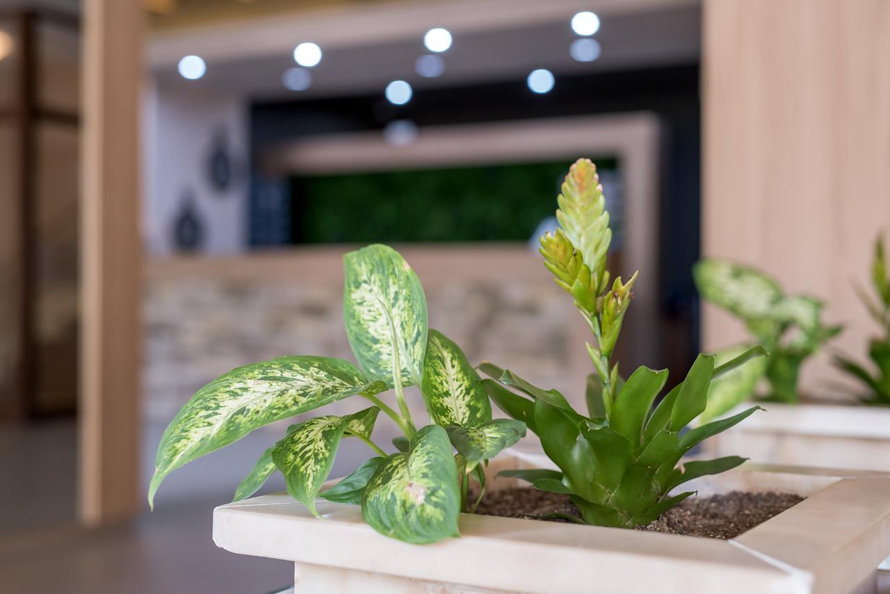 Devin Spa Hotel エクステリア 写真
