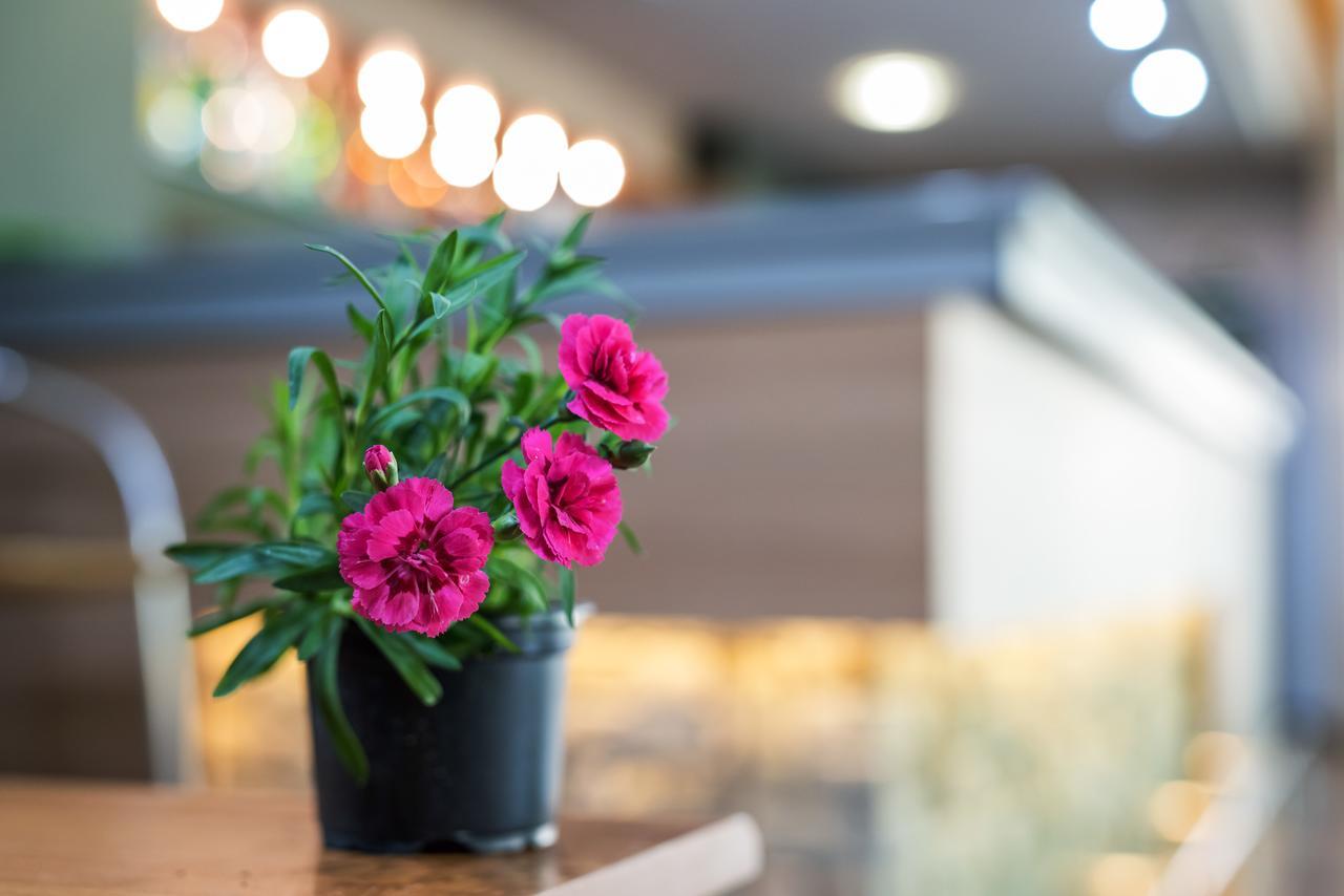 Devin Spa Hotel エクステリア 写真